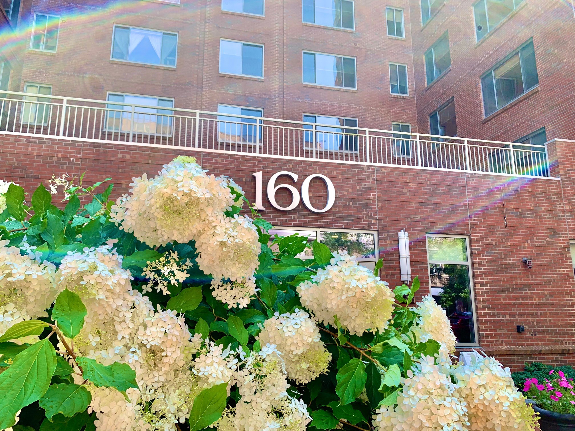 160-pleasant-flowers